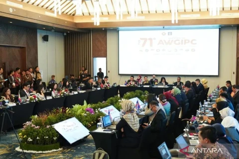 Nhóm công tác ASEAN họp bàn về sở hữu trí tuệ tại Indonesia