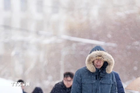 Tuyết rơi dày ở Cáp Nhĩ Tân, tỉnh Hắc Long Giang, Trung Quốc. (Ảnh: THX/TTXVN)