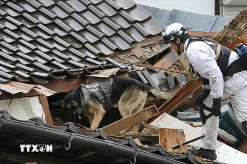 Lực lượng cứu hộ tìm kiếm nạn nhân mắc kẹt trong đống đổ nát sau trận động đất tại Wajima, tỉnh Ishikawa, ngày 3/1/2024. (Ảnh: Kyodo/TTXVN)