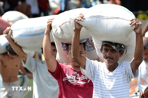 Người dân bốc xếp gạo từ nhà kho ở Tacloban, Philippines. (Ảnh: AFP/TTXVN)