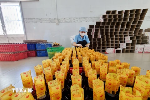 Đóng chai nước mắm tại Cơ sở sản xuất nước mắm Quang Minh (xã Cà Ná, huyện Thuận Nam). (Ảnh: Nguyễn Thành/TTXVN)