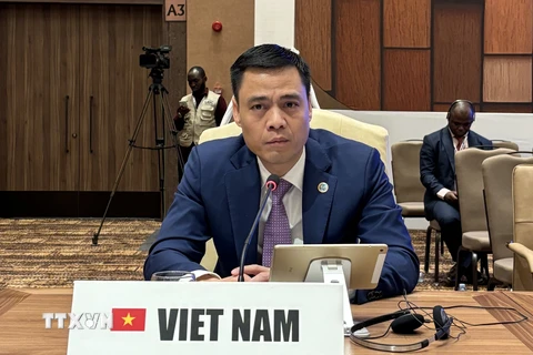 Đại sứ, Trưởng Phái đoàn Việt Nam tại Liên hợp quốc Đặng Hoàng Giang. (Ảnh: TTXVN phát)