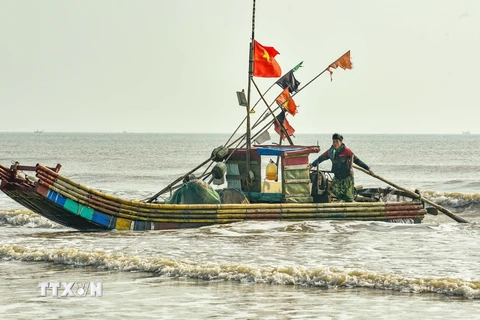 Mùng 3 Tết Nguyên đán, ngư dân các xã ven biển của huyện Quảng Xương đã tích cực bám biển, khai thác gần bờ để cung cấp nguồn thực phẩm tươi sống cho thị trường. (Ảnh: Hoa Mai/TTXVN)