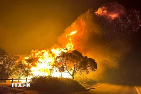 Hình ảnh cháy rừng tại Australia. (Ảnh: AFP/TTXVN)