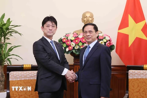 Bộ trưởng Ngoại giao Bùi Thanh Sơn tiếp Hạ nghị sỹ, Thứ trưởng Ngoại giao Nhật Bản Komuru Masahiro. (Ảnh: An Đăng/TTXVN)