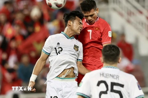 Việt Nam sẽ có hai trận đấu quan trọng với Indonesia trong tháng Ba. (Ảnh: Hoàng Linh/TTXVN)