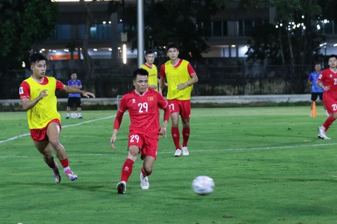 Đội tuyển Việt Nam sẽ tập luyện trên sân tập thuộc Khu phức hợp thể thao Gelora Bung Karno. (Nguồn: VFF)