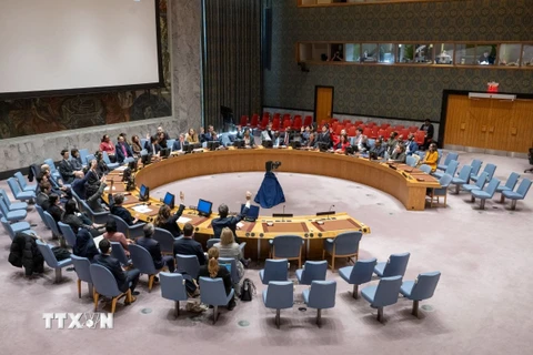 Quang cảnh một phiên họp Hội đồng Bảo an Liên hợp quốc. (Ảnh: THX/TTXVN)