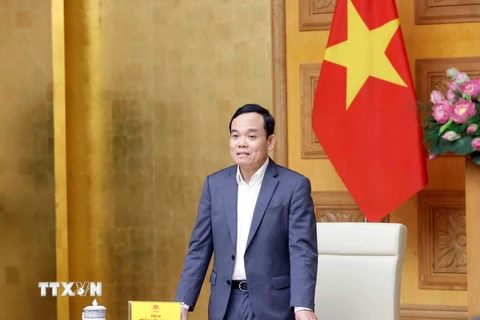 Phó Thủ tướng Trần Lưu Quang. (Ảnh: Doãn Tấn/TTXVN)