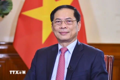 Bộ trưởng Bộ Ngoại giao Bùi Thanh Sơn. (Ảnh: TTXVN phát)