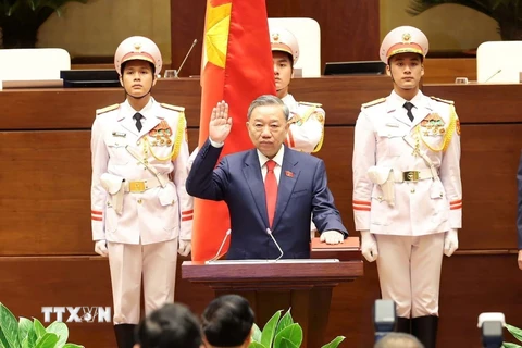 Chủ tịch nước Tô Lâm tuyên thệ. (Ảnh: TTXVN)