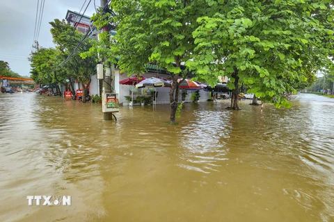 Trận mưa lớn kéo dài đã gây ngập úng cục bộ trên một số tuyến đường trên địa bàn thành phố Điện Biên Phủ (tỉnh Điện Biên). (Ảnh: Xuân Tư/TTXVN)