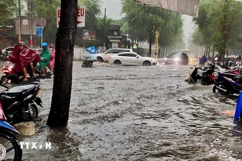 Đường Lưu Văn Lang (quận 1) ngập sâu trong mưa, chiều 14/6. (Ảnh: Hồng Giang/TTXVN)