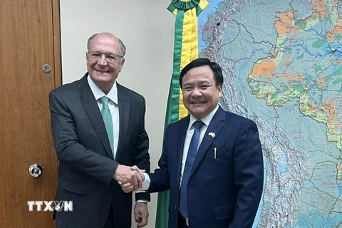 Đại sứ Việt Nam Bùi Văn Nghị và Phó Tổng thống Brazil Geraldo Alckmin tại buổi làm việc ngày 19/6. (Ảnh: TTXVN phát)