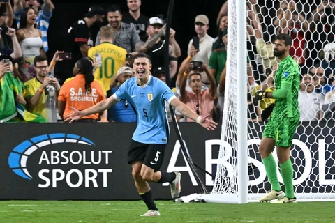 Uruguay đã loại Brazil khỏi Copa America 2024. (Nguồn: Getty Images)