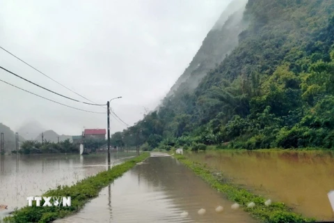 Đường giao thông và nhiều diện tích hoa màu ở xã Nam Tuấn, huyện Hòa An bị ngập trong nước lũ. (Ảnh: TTXVN phát)