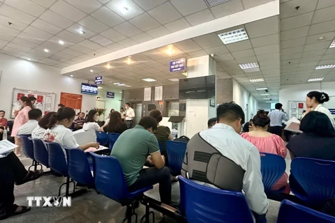 Phiên đấu giá đất tại Hoài Đức Hà Nội với giá trúng cao nhất hơn 133,3 triệu đồng/1m2, thấp nhất 91,3 triệu đồng/1m2. (Ảnh: TTXVN phát)