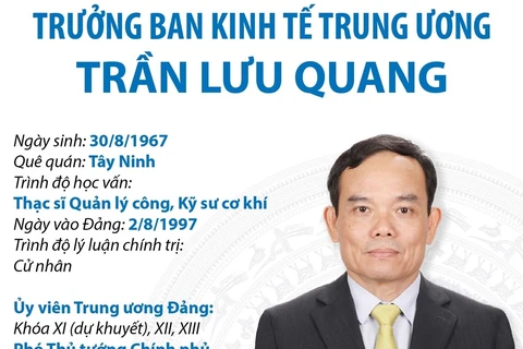 Trưởng Ban Kinh tế Trung ương Trần Lưu Quang