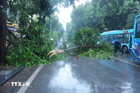 Các phương tiện di chuyển chậm qua đoạn đường trước nhà 25 Quang Trung. (Ảnh: Hoàng Hiếu/TTXVN)