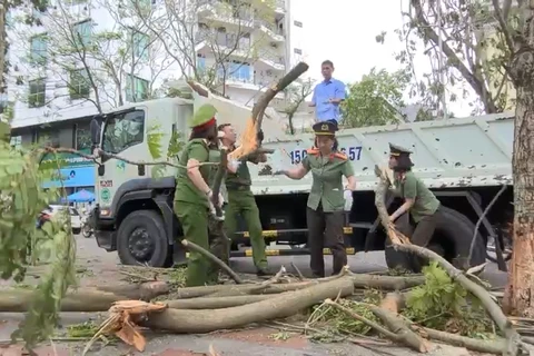 Nữ cán bộ công đoàn Công an thành phố Hải Phòng dọn dẹp tuyến đường sau bão