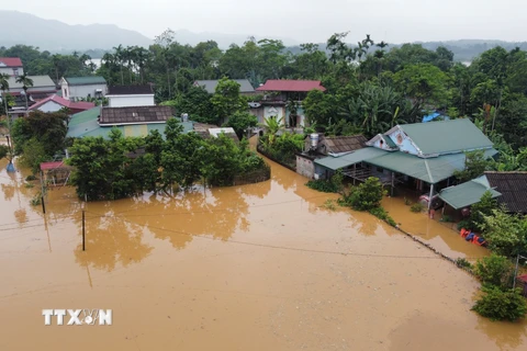 Nhiều hộ dân xã Hiền Lương bị ngập sâu tới hơn 2m. (Ảnh: Tạ Toàn/TTXVN)