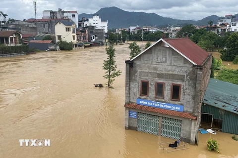 Nhiều ngôi nhà gần bờ sông ở khu vực thành phố Cao Bằng bị ngập sâu trong nước. (Ảnh: TTXVN phát)