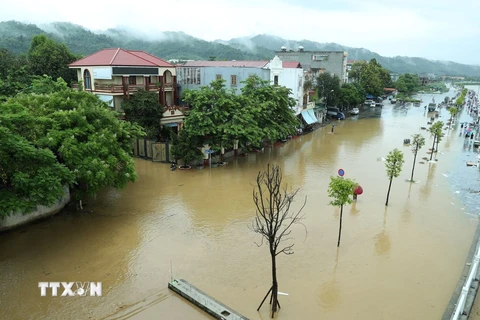 Đường Phạm Văn Xảo, phường Lào Cai, thành phố Lào Cai bị lũ tràn vào, ngập trong biển nước lúc 11g30 ngày 9/9. (Ảnh: Quốc Khánh/TTXVN)