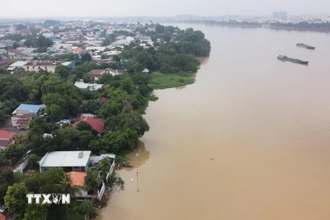 Mực nước trên sông Đồng Nai lúc 15 giờ 30 ngày 18/9/2024 tại khu vực thành phố Biên Hòa lên trên mức báo động 1. (Ảnh: Sỹ Tuyên/TTXVN)