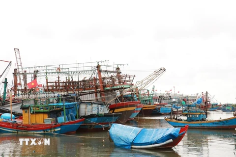 Tàu thuyền neo đậu tránh trú bão. (Ảnh minh họa: Nguyên Lý/TTXVN)