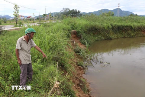 Bờ sông Phước Giang, đoạn qua xã Hành Minh (Quảng Ngãi) xuất hiện nhiều điểm sạt lở. (Ảnh: TTXVN phát)