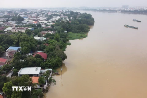 Khu vực sông Đồng Nai. (Ảnh: Sỹ Tuyên/TTXVN)