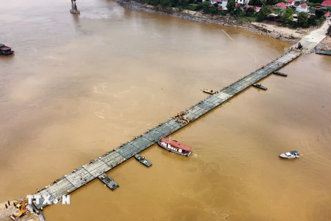 Cầu phao Phong Châu chính thức hợp long lúc 10h36 ngày 29/9/2024. (Ảnh: Hoàng Hiếu/TTXVN)