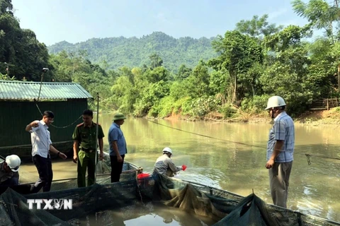 Trung tâm Quan trắc tài nguyên và môi trường tỉnh Tuyên Quang tổ chức lấy mẫu nước tại xã Bình Phú (huyện Chiêm Hóa). (Ảnh: TTXVN phát)