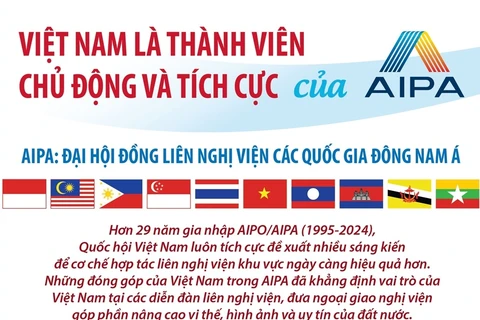 Việt Nam là thành viên chủ động và tích cực của AIPA