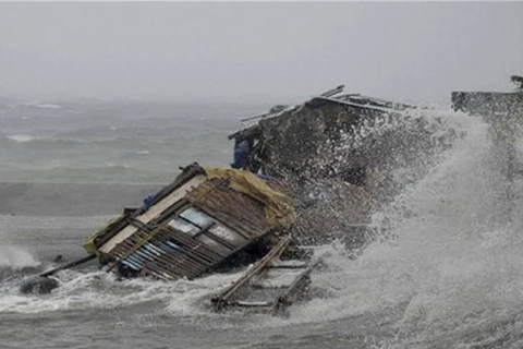 Video siêu bão Haiyan gây thiệt hại lớn cho Philippines