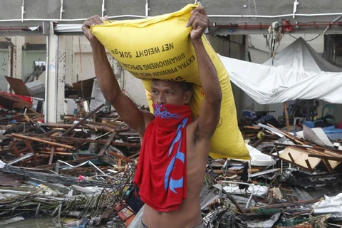 Philippines: Bão Haiyan phá hủy 1/3 tổng sản lượng gạo