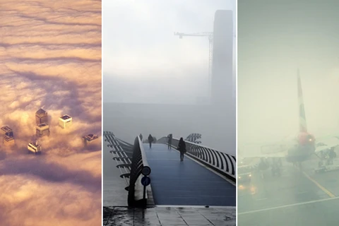 Anh: Hàng trăm chuyến bay bị hoãn do sương mù dày đặc 