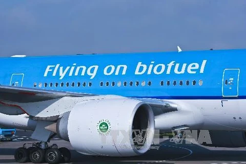 Chuyến bay vượt Đại Tây Dương của chiếc máy bay thuộc công ty hàng không Hoàng gia Hà Lan KLM sử dụng nhiên liệu sinh học (Nguồn: TTXVN) 