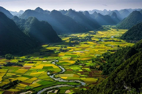 Những bức ảnh của Việt Nam đoạt giải quốc tế năm 2013