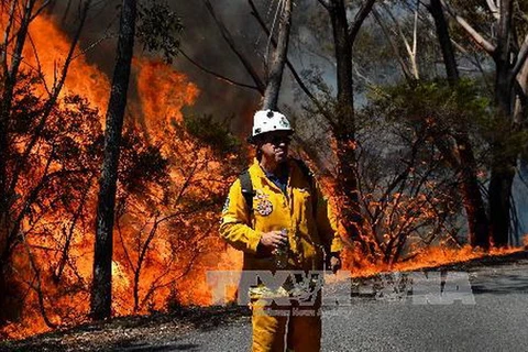 Các vụ cháy rừng ở Australia vẫn diễn biến rất phức tạp