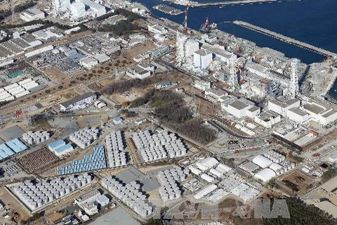 TEPCO đo nhầm dữ liệu phóng xạ ở nhà máy Fukushima 1