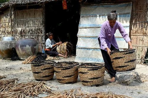 Ảnh minh họa. (Nguồn: Duy Khương/TTXVN)