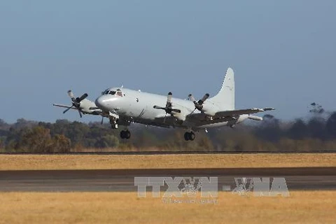 Máy bay AP-3C Orion của Không quân Hoàng gia Australian tham gia tìm kiếm chiếc máy bay MH370 mất tích. (Nguồn: AFP/TTXVN)