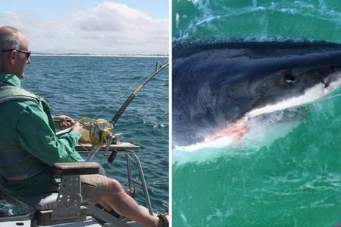 Phát hoảng khi câu được một con cá mập trắng khổng lồ