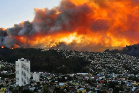 Cháy rừng kinh hoàng ở Chile phá hủy 500 ngôi nhà, 4 người chết