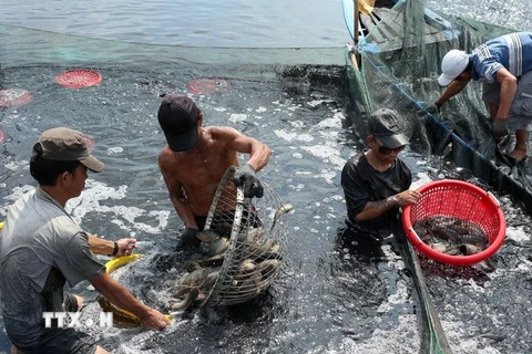 Nâng cao nhận thức cho ngư dân về bảo vệ nguồn lợi thủy sản