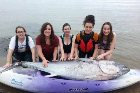 5 cô gái bắt được con cá ngừ khổng lồ trị giá hơn 35 tỷ đồng