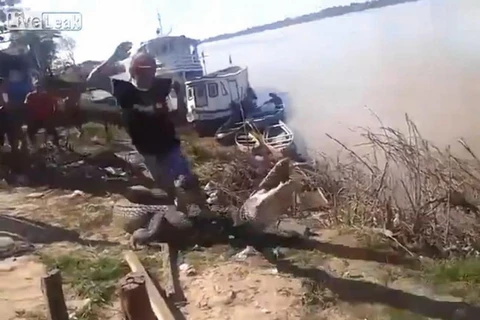 Người đàn ông đùa giỡn với "tử thần" khi giẫm lên thân cá sấu