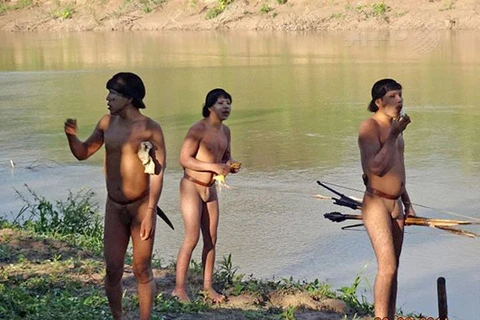 Bộ lạc bí ẩn ở Brazil lần đầu tiếp xúc với thế giới bên ngoài
