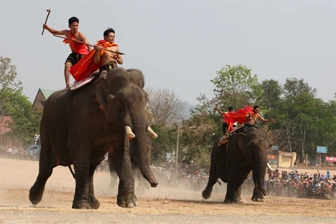 [Photo] Ấn tượng đặc biệt về Lễ hội đua voi ở huyện Buôn Đôn 